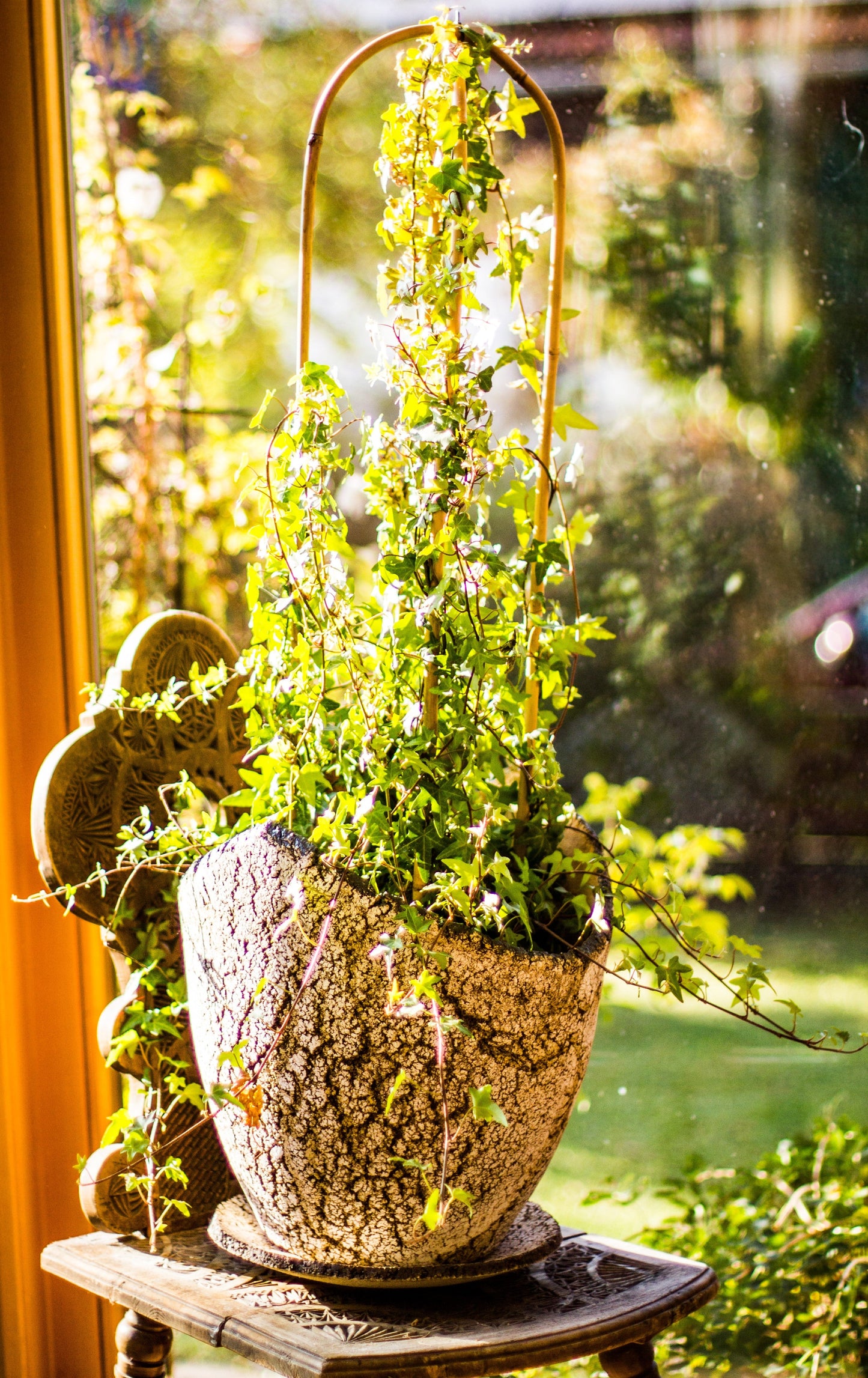 PFLANZTOPF “WURZELWERK” C2